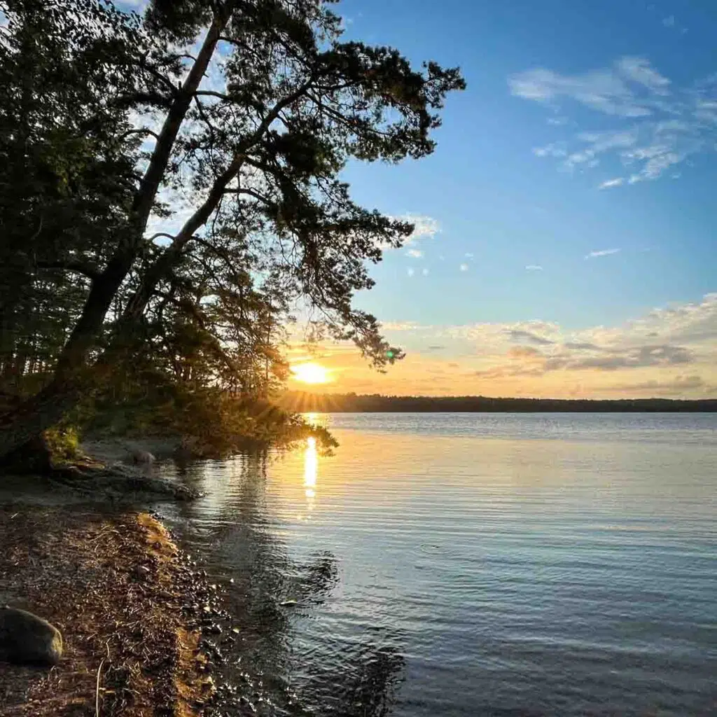 Dalsland ins Schweden - Naturverbunden