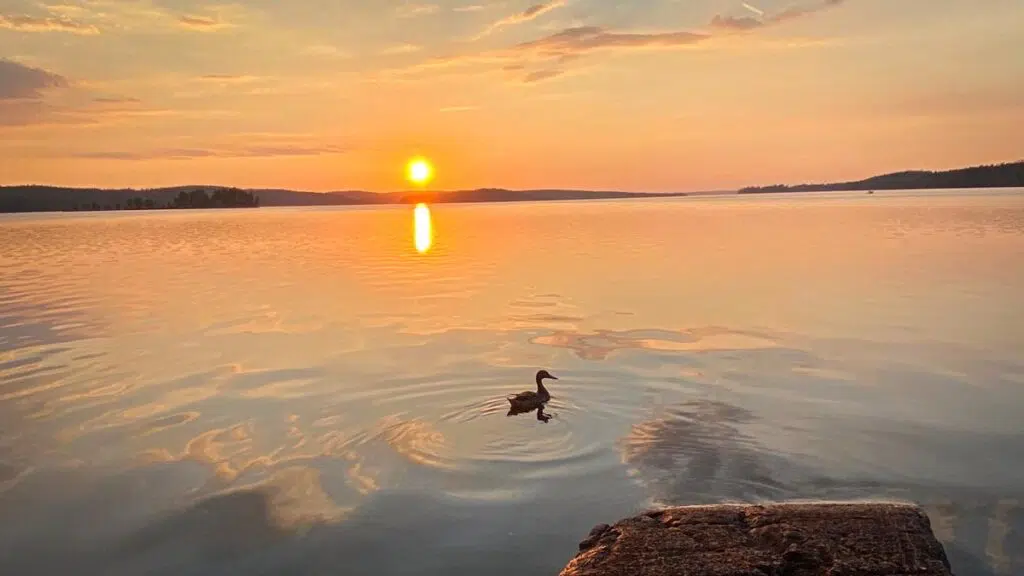 Blick in den Sonnenuntergang vom Campingplatz in Schweden
