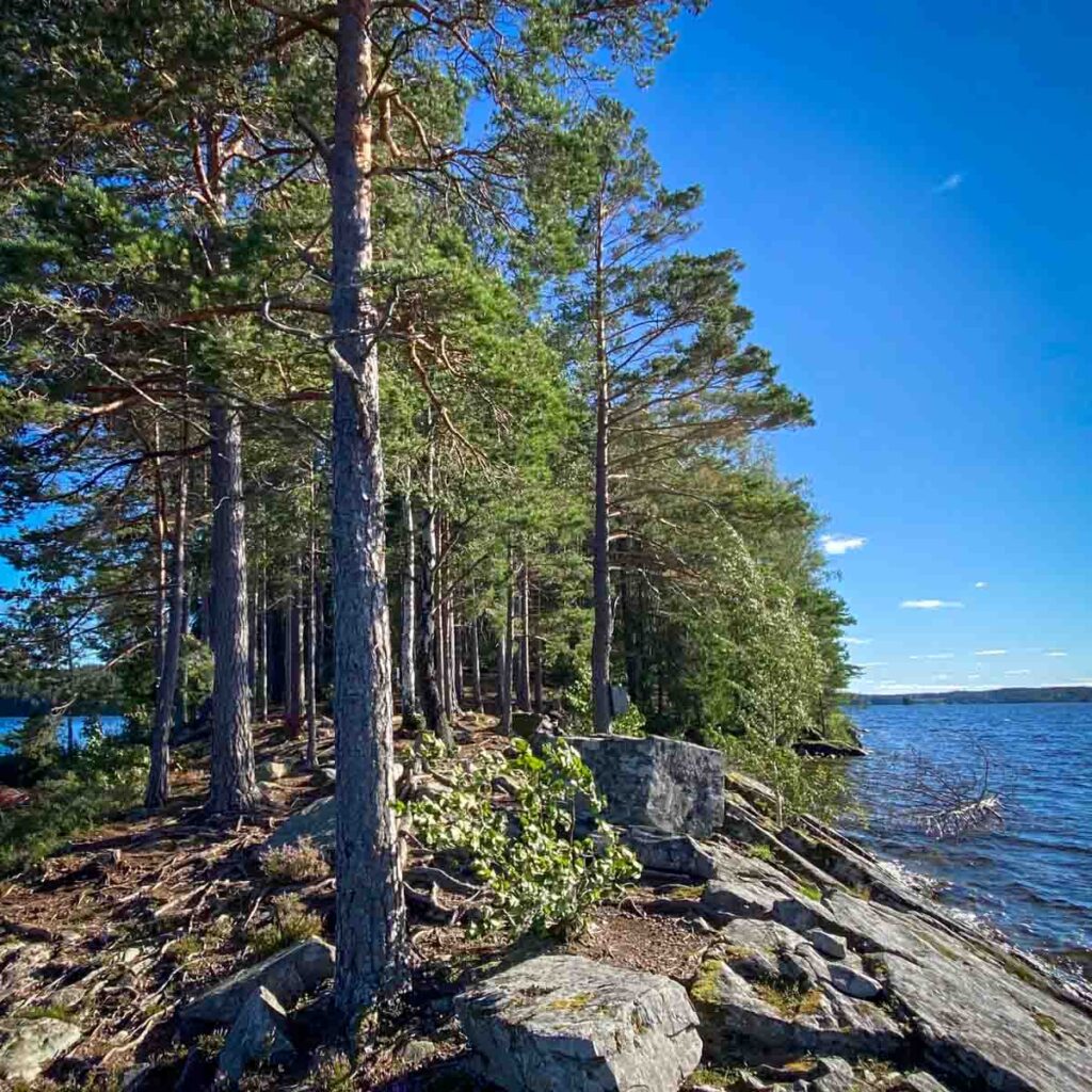 Kanutour mit Guide in Schweden - Wasser und Wald