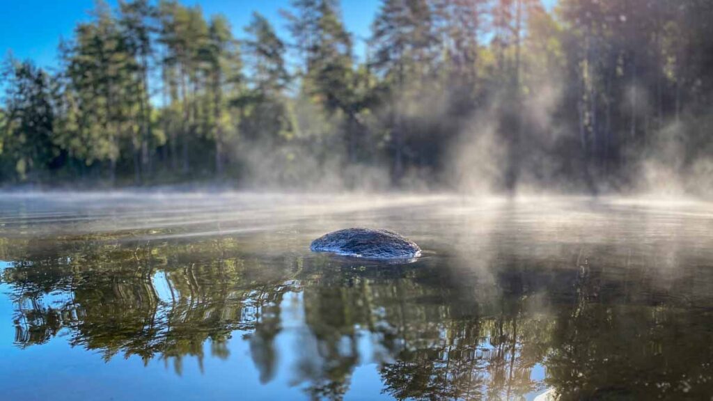 Dalsland in Schweden Natur erleben