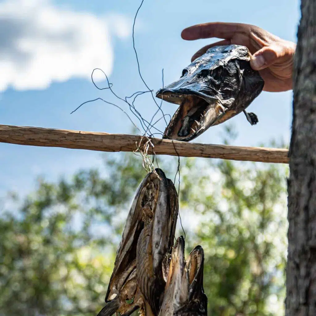 frische Fisch bei der Kanutour ohne Guide in Schweden