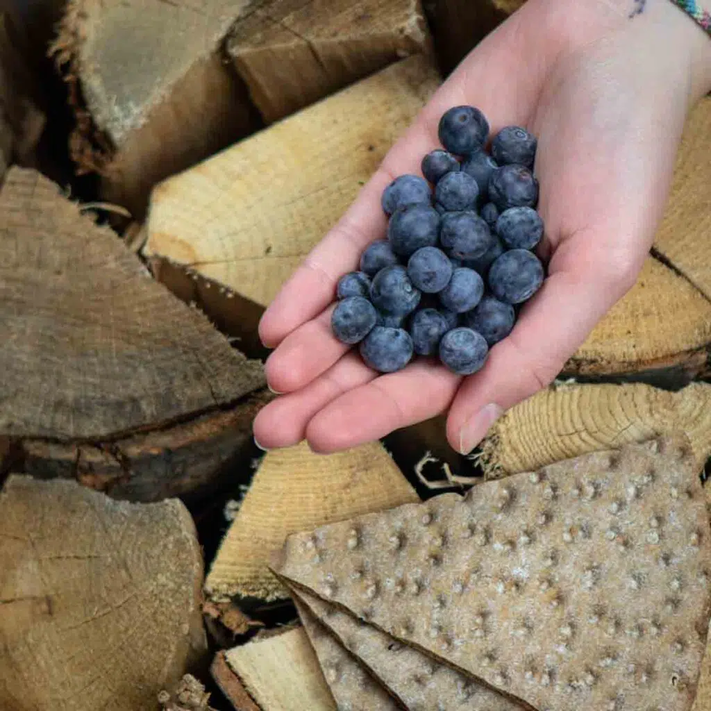 Blaubeeren aus Schweden